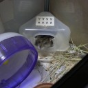 テンションだだ下がり