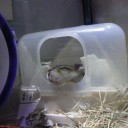 テンションだだ下がり