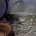 テンションだだ下がり