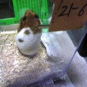来ぃたぁぁぁ～