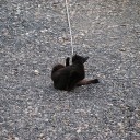 水曜〓雨とバイトと〓