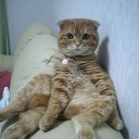 シュシュ→数珠の術
