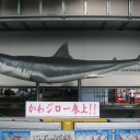 第16回多摩川クラシコ： 川崎フロンターレ－FC東京