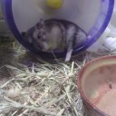 ぐだぐだ、のびのび～
