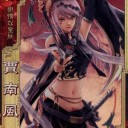ＳＲ賈南風