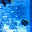アクアスタジアム