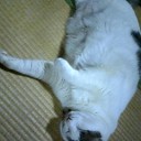 ものすごい早起き。