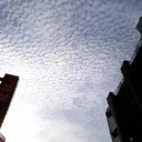 いわし雲