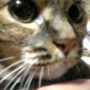 洗いまくる日。