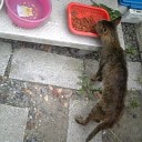 強いとか言われる私。
