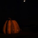 直島