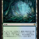 ＭＴＧ　霧深い雨林