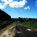 Photo22:[夏だね]