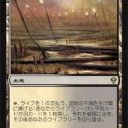 MTG 湿地の干潟