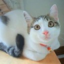 ご無沙汰しております。