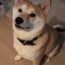 ゆうさんへ