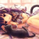 本当らしいね