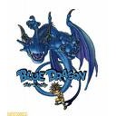 無双のドラゴン　＆　　ドラゴン尽くし