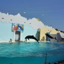 須磨水族館