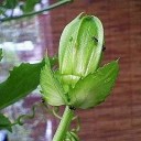 日々　成長しています