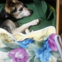 この先、覚悟はしてるんですが