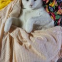 無言の鬱。
