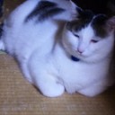 キラキラする現場。