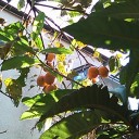 よくも飽きずに