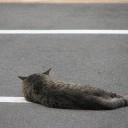 火曜〓勉強と煮魚と〓