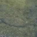 木曜〓気晴らしといろいろと〓