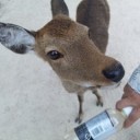 カールまつげのキョトン・・・