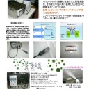 下期も続きそうな不況の嵐