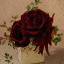 今、庭にある花たち。