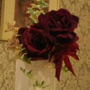 今、庭にある花たち。