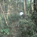 年齢と風格を感じさせる同じ年の背中