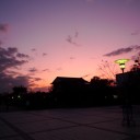 晩秋というもの