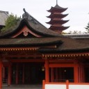 泣かない松井。