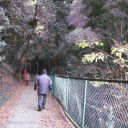紅葉の瀬田川