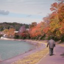 紅葉の瀬田川