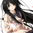 イチョリッド