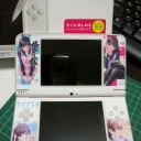 DSi LL