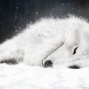 さ、寒い((( ；ﾟДﾟ)))ｶﾞｸｶﾞｸﾌﾞﾙﾌﾞﾙ