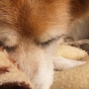 赤ちゃんごめんね。