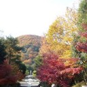 甲山森林公園