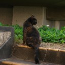 水曜〓買い物と粘土と〓