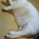 黒いボクくん。