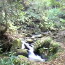 野山を歩く