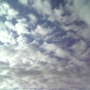 今日の写真