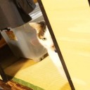感謝の今後。