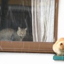 土曜〓雪と雨と〓